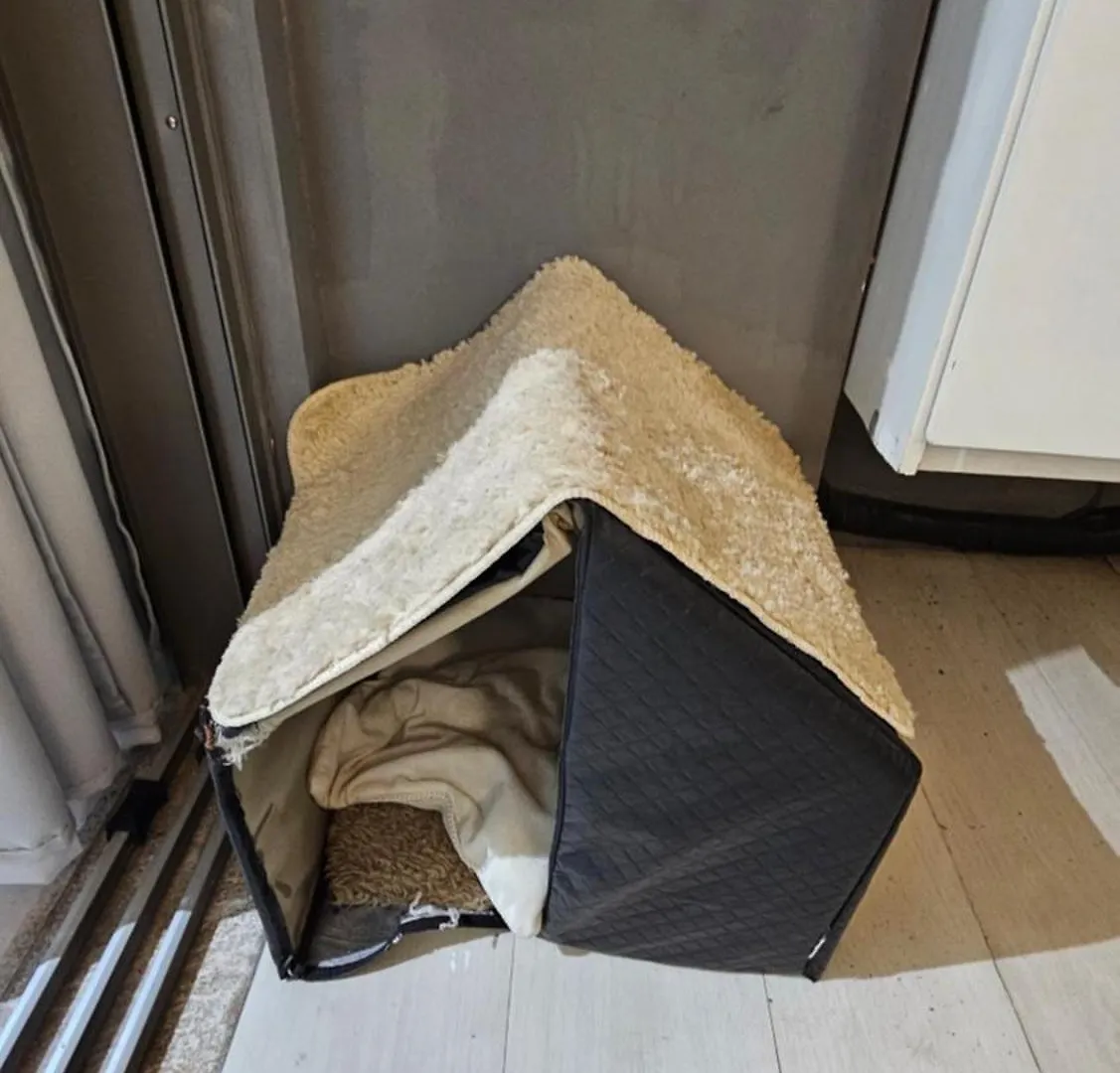 Cozy Habitarte - Morumbi - Hospital Einstein Sao Paulo Apartment
